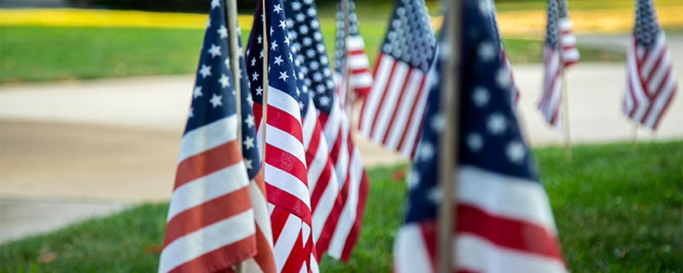 Small American flags line a driveway on Veterans Day