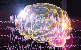 An illustration of a brain with brain waves in the foreground