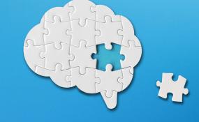 A white puzzle in the shape of a brain on a blue background