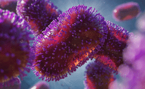 An illustration of the monkeypox virus